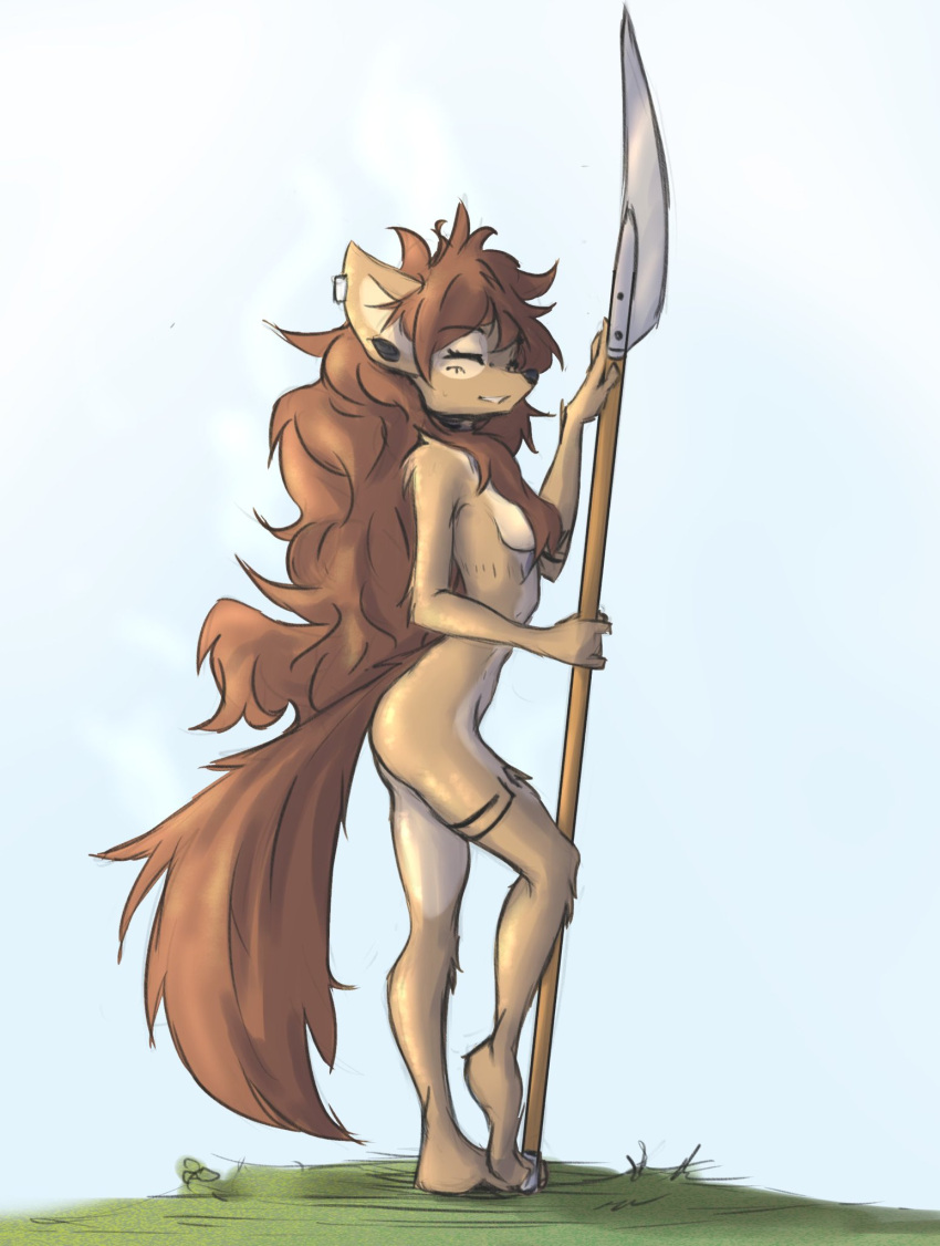 anthro apogee_(tinygaypirate) black_nose blade bladed_weapon breasts brown_body brown_fur brown_hair butt canid canine canis casual_nudity convenient_censorship domestic_dog ear_piercing facial_piercing facial_tuft fantasy female fur glaive grass hair hair_censor hair_covering_breasts hi_res holding_object holding_weapon long_hair mammal markings melee_weapon nude piercing plant polearm solo spitz teeth tinygaypirate tuft weapon