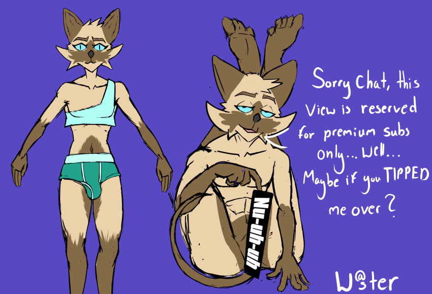 absurd_res anthro brown_body brown_fur censor_bar censored clothing cocky cocky_smile crossed_legs domestic_cat felid feline felis fur head_tuft hi_res legs_over_head looking_at_viewer male mammal shirt siamese smile solo text topwear tuft underwear wastester