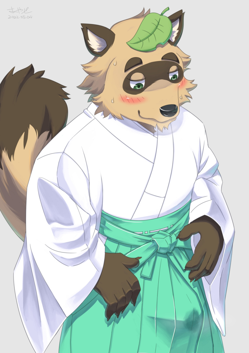 anthro asian_clothing ayase4205913 blush bodily_fluids bottomwear canid canine clothed clothing east_asian_clothing erection erection_under_clothing genital_fluids hakama hi_res humanoid japanese_clothing kemono kimono male mammal precum raccoon_dog solo tanuki tenting wet wet_clothing