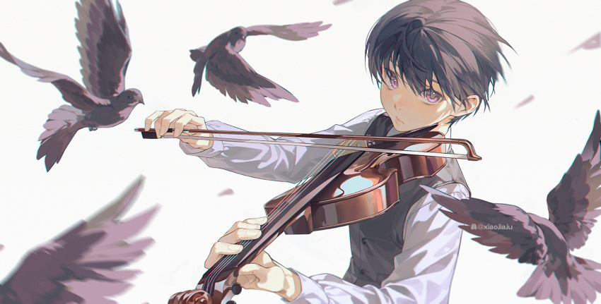 1boy bangs black_bird black_hair black_vest blurry blurry_foreground buttons chinese_commentary closed_mouth commentary eyebrows_behind_hair hair_between_eyes instrument lan-ge-zi long_sleeves looking_at_viewer male_focus music original playing_instrument purple_eyes shirt short_hair simple_background solo twitter_username upper_body vest violin white_background white_shirt