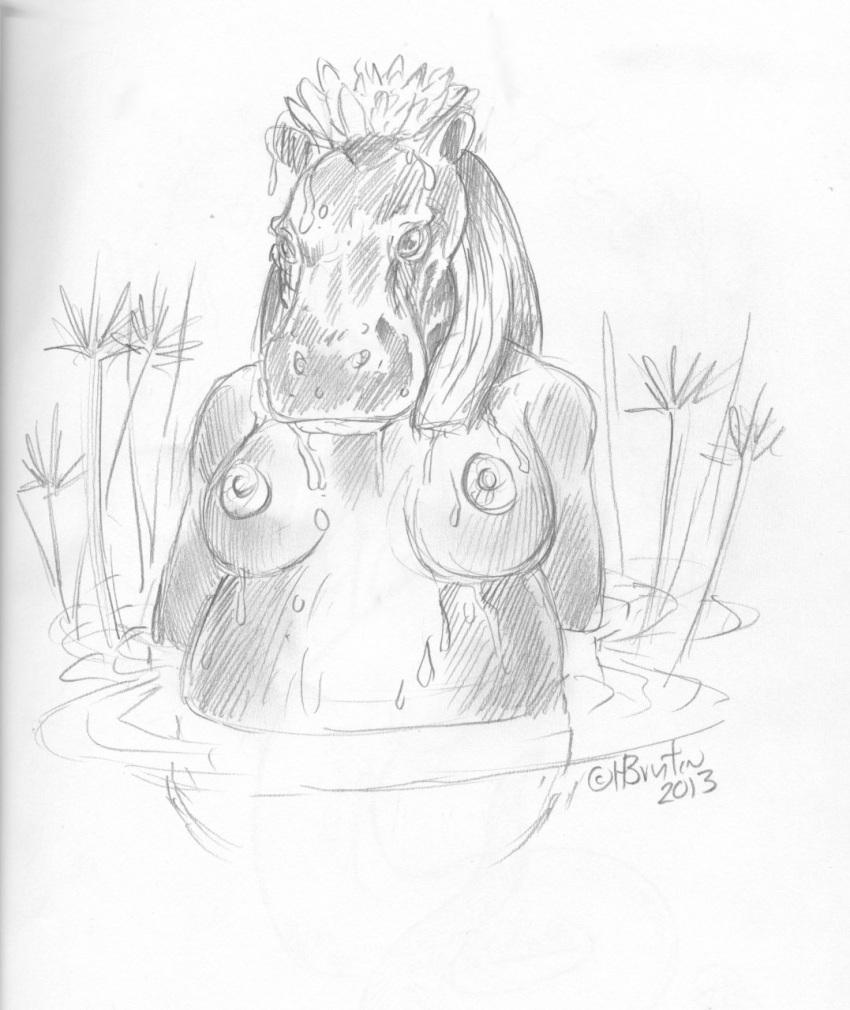 2013 anthro areola belly big_belly big_breasts breasts common_hippopotamus deity egyptian egyptian_mythology female flower hair heather_bruton hi_res hippopotamid lotus_(flower) mammal middle_eastern_mythology mythology nipples nude outside partially_submerged plant simple_background sketch solo tagme taweret traditional_media_(artwork) water wet white_background