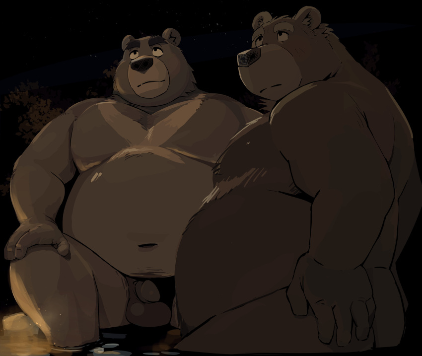 2022 absurd_res anthro balls belly big_belly butt duo genitals hi_res humanoid_hands kemono leoponleopon male male/male mammal navel night outside overweight overweight_male sitting ursid water