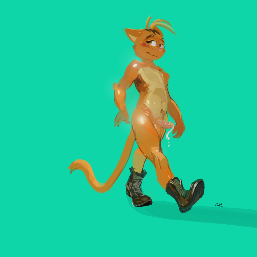 1:1 absurd_res anthro balls biped black_boots black_clothing black_footwear blush boots brown_body brown_fur brown_stripes cheek_tuft clothed clothing elbow_tufts erection facial_tuft footwear front_view fur genitals glans green_background hair hi_res humanoid_genitalia humanoid_penis male orange_balls orange_body orange_ears orange_eyes orange_fur orange_hair orange_tail oselotti oselotti_(character) partially_clothed penis pink_glans pink_penis shadow shoulder_tuft signature simple_background solo stripes tan_body tan_fur tuft walking