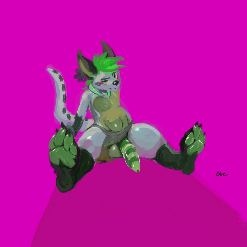 1:1 absurd_res anthro balls biped black_body black_ears black_fur black_nose blush front_view fur genitals glistening glistening_nose glistening_pawpads green_balls green_eyes green_hair green_inner_ear green_pawpads green_penis grey_body grey_fur hair half-erect hand_behind_head hi_res leaning leaning_back male messy_hair oselotti pawpads penis pink_background signature simple_background sitting slightly_chubby solo striped_genitalia striped_penis stripes