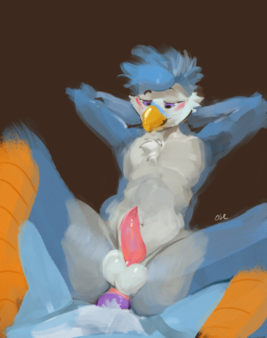 absurd_res anal anal_penetration anthro anthro_on_anthro anthro_penetrated anthro_penetrating anthro_penetrating_anthro avian balls beak blue_body blue_hair blush cheek_tuft duo erection eyebrows faceless_anthro faceless_character faceless_male facial_tuft front_view genitals hair hands_behind_head hi_res leg_markings male male/male male_penetrated male_penetrating male_penetrating_male markings messy_hair navel orange_body oselotti penetration penis pink_penis purple_eyes purple_penis raised_eyebrows short_hair signature socks_(marking) tapering_penis tuft white_balls white_body yellow_beak