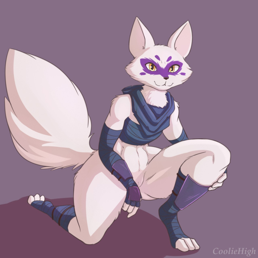 alopex anthro arctic_fox bottomless breasts canid canine clothed clothing cooliehigh female fox fur genitals hi_res mammal pussy simple_background solo teenage_mutant_ninja_turtles white_body white_fur wrist_guards yellow_eyes