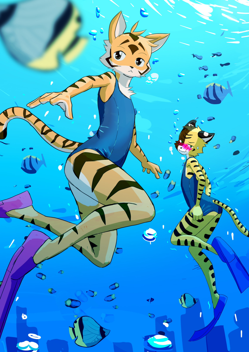 absurd_res aiden_(panzery25) anthro blush bubble chef_cheiro_(artist) chef_cheiro_(character) clothing diving diving_fins duo felid hi_res looking_at_viewer male male/male mammal one-piece_swimsuit pantherine school_swimsuit shame shy swimming swimwear tiger underwater water