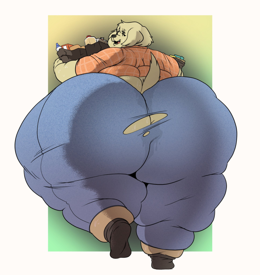 2021 anthro big_butt bird_dog bodily_fluids butt butt_focus canid canine canis clothed clothing colored domestic_dog female hi_res holding_object huge_butt hunting_dog labrador looking_at_viewer looking_back looking_back_at_viewer mammal obese obese_anthro obese_female overweight overweight_anthro overweight_female rear_view retriever shaded simple_background smokii solo sweat sweaty_butt thick_thighs torn_clothing walking wide_hips