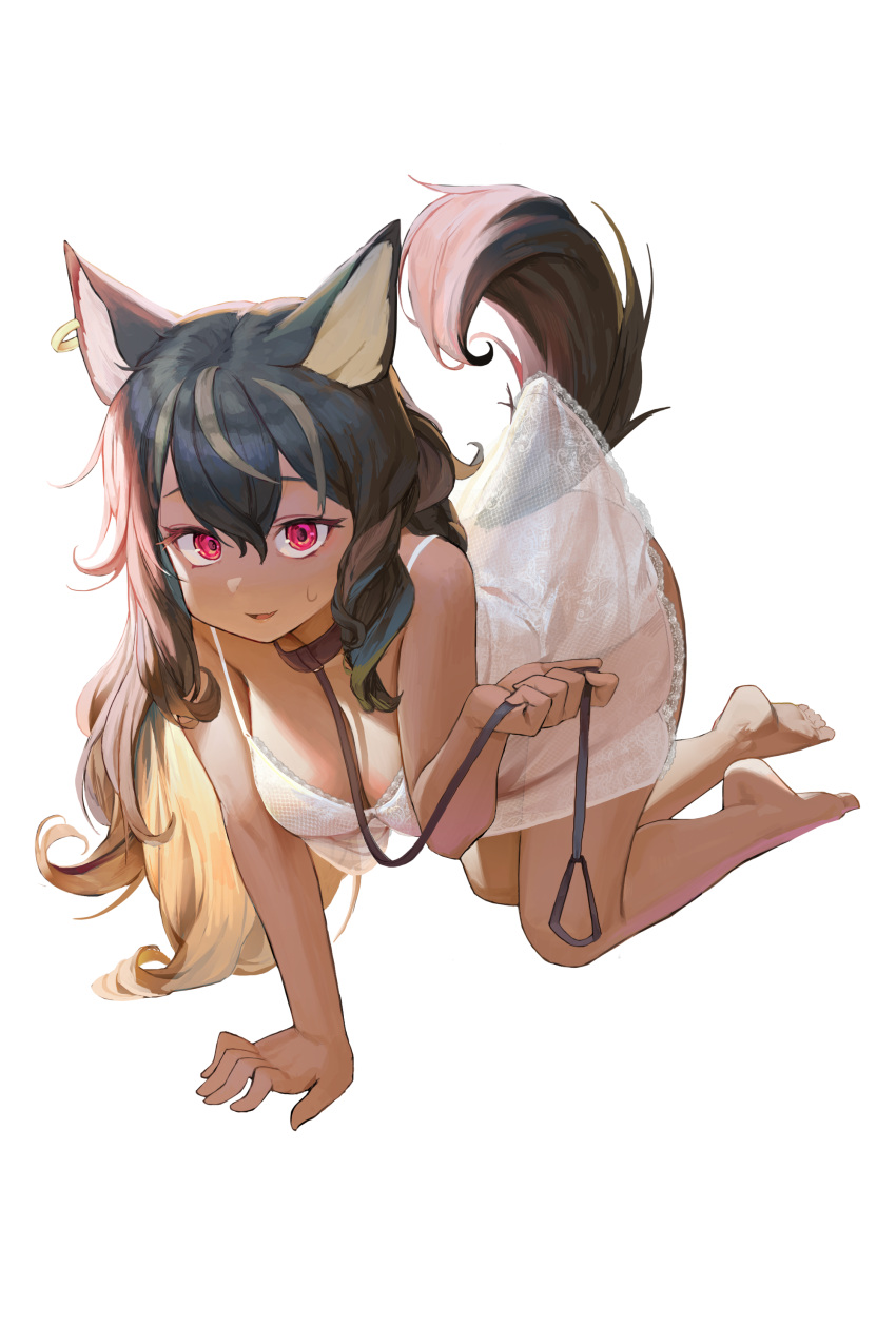 1girl absurdres all_fours animal_ears arm_support artist_request bare_legs barefoot black_hair breasts cleavage collar commission dark-skinned_female dark_skin earrings eyebrows_behind_hair fang full_body highres jewelry large_breasts leash lingerie long_hair multicolored_hair negligee open_mouth original red_eyes sidelocks simple_background single_earring sirae_negrup skin_fang solo strap_gap streaked_hair sweatdrop tail underwear white_background