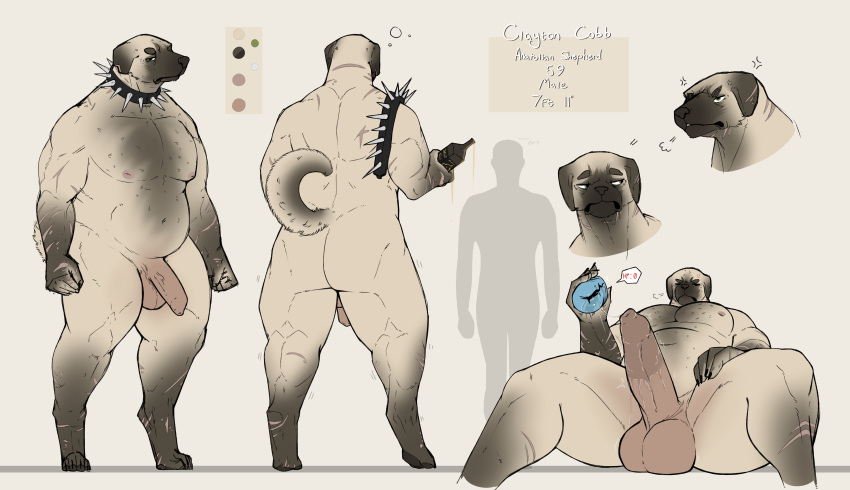 2022 absurd_res anthro balls biped bottle canid canine canis collar digital_media_(artwork) domestic_dog erection flaccid floppy_ears fur genitals hi_res humanoid_genitalia humanoid_penis male mammal model_sheet musclegut muscular muscular_anthro muscular_male penetrable_sex_toy penis securipun sex_toy solo spiked_collar spikes tan_body tan_fur