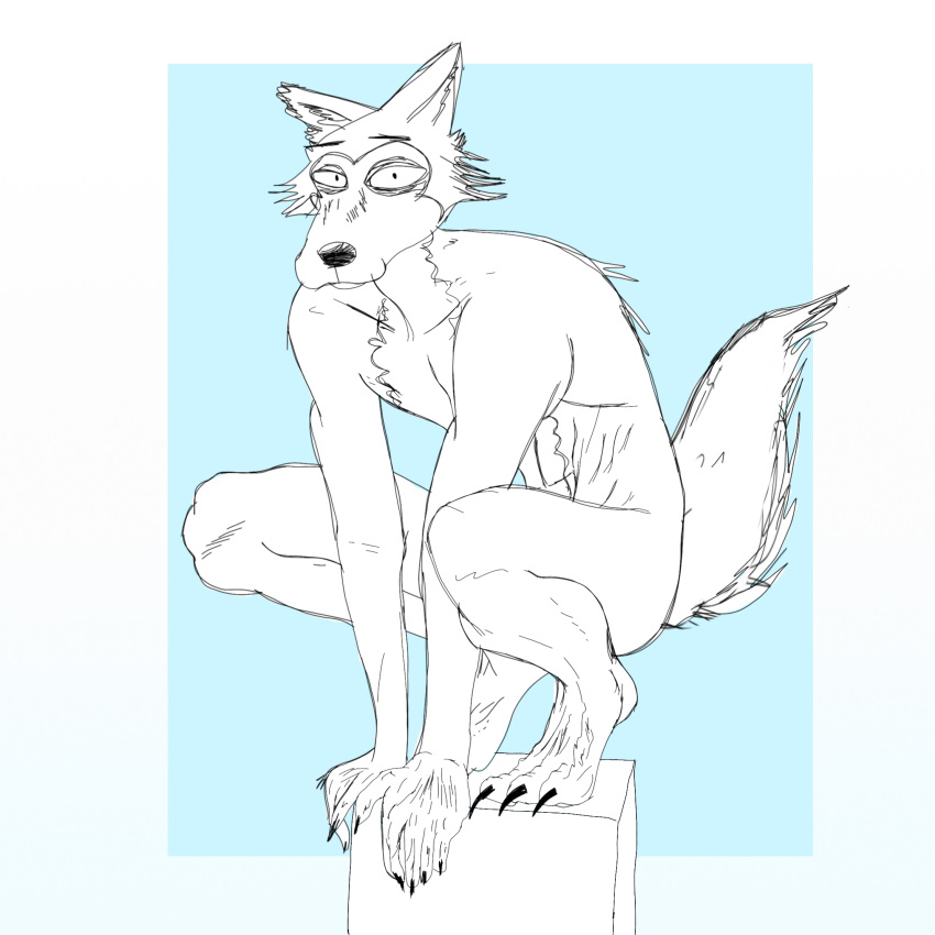 anthro beastars blue_background canid canine canis hi_res kanyewestbearreqlye legoshi_(beastars) looking_at_viewer male mammal nude simple_background solo wolf