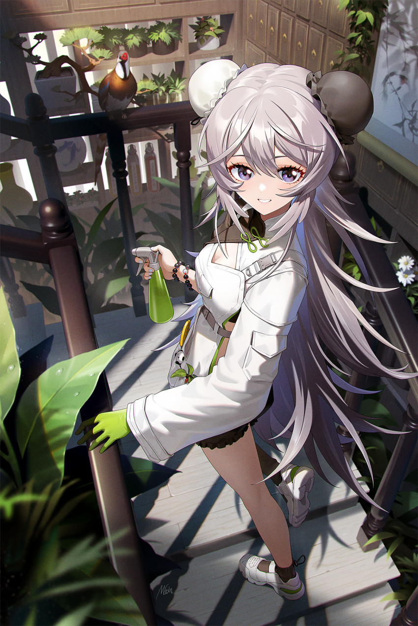 1girl animal apron arknights bangs bead_bracelet beads bird black_legwear black_shorts bottle bracelet breasts bun_cover cleavage full_body grey_hair hair_between_eyes hand_on_railing highres indoors jewelry long_hair long_sleeves looking_at_viewer masin0201 medium_breasts mulberry_(arknights) mulberry_(plant_crude_drug)_(arknights) official_alternate_costume parted_lips plant potted_plant purple_hair short_shorts shorts shrug_(clothing) signature smile solo spray_bottle spray_can stairs standing very_long_hair white_apron white_footwear