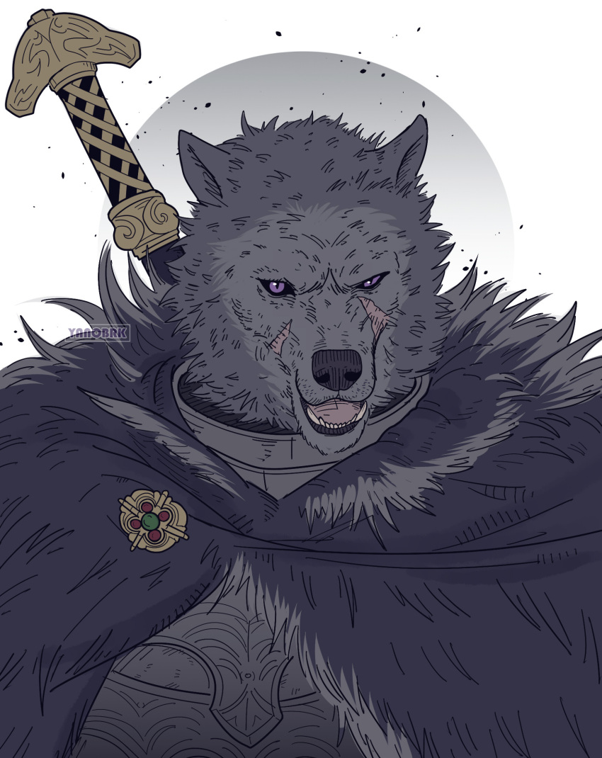 1boy animal_head armor artist_name black_sclera blaidd_the_half-wolf breastplate brooch cloak colored_sclera elden_ring fur_cloak furry furry_male highres jewelry looking_at_viewer male_focus purple_eyes revision scar solo sword upper_body weapon weapon_on_back yanobrk