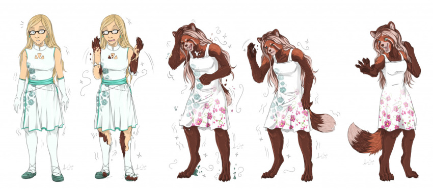 2021 ailurid amand4 anthro barefoot blonde_hair breasts clothing digital_media_(artwork) digitigrade dress eyewear feet female footwear glasses hair human human_to_anthro mammal red_panda rupey sequence shoes simple_background smile solo species_transformation surprise torn_clothing transformation white_background white_clothing white_dress