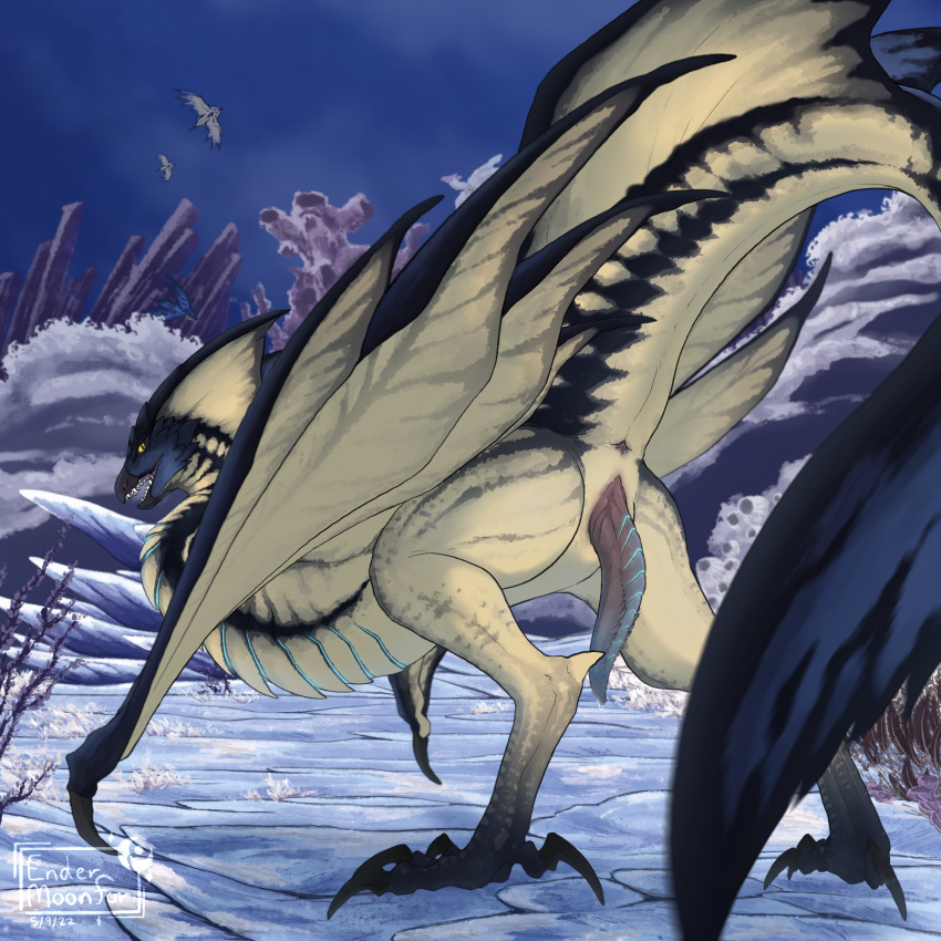 capcom dragon endermoonfur feral flying_wyvern genitals hi_res legiana male monster_hunter penis presenting solo video_games wyvern