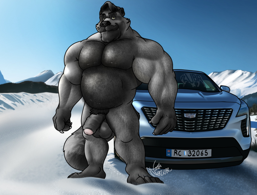 anthro autofurrart balls beard cadillac car cold facial_hair fluffy fur genitals green_eyes grey_body grey_fur hair_chest hi_res male mammal mountain muscular mustache norway nude penis procyonid raccoon snow solo sunny vehicle zubr