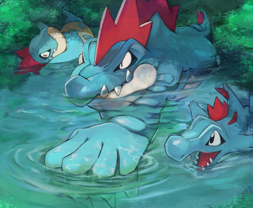 black_eyes claws closed_mouth commentary_request croconaw evolutionary_line feraligatr gara_(qbeuxvii22) highres no_humans open_mouth pokemon pokemon_(creature) revision ripples swimming totodile water
