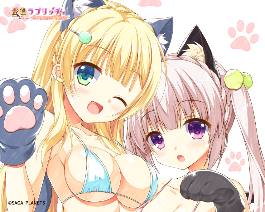 2girls :o ;d animal_ear_fluff animal_ears animal_hands aqua_bikini asymmetrical_docking bare_shoulders bikini blonde_hair blunt_bangs blush braid breast_press breasts caminal_le_pultaia_sortilege_sisua cat_ears cleavage close-up collarbone company_name copyright_name crown_braid eyes_visible_through_hair gloves grey_hair hair_ornament hairclip halterneck hand_up happy highres hisama_kumako hug kin-iro_loveriche large_breasts long_hair looking_at_viewer moribe_(rabumanyo) multiple_girls official_art one_eye_closed open_mouth paw_gloves paw_pose paw_print pink_bikini pom_pom_(clothes) pom_pom_hair_ornament purple_eyes siblings side-by-side sidelocks simple_background sisters small_breasts smile swimsuit sylvia_le_cruzcrown_sortilege_sisua twintails waving white_background