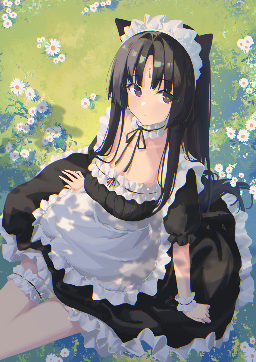 1girl alternate_costume animal_ears apron arknights bangs black_dress black_ribbon breasts cleavage closed_mouth collarbone daisy day dog_ears dress enmaided eyebrows_visible_through_hair facial_mark flower forehead_mark frilled_apron frilled_dress frills from_above highres leg_garter long_hair looking_at_viewer looking_up maid maid_headdress medium_breasts neck_garter neck_ribbon on_grass on_ground outdoors parted_bangs purple_eyes ribbon saga_(arknights) sin. sitting very_long_hair white_apron white_flower