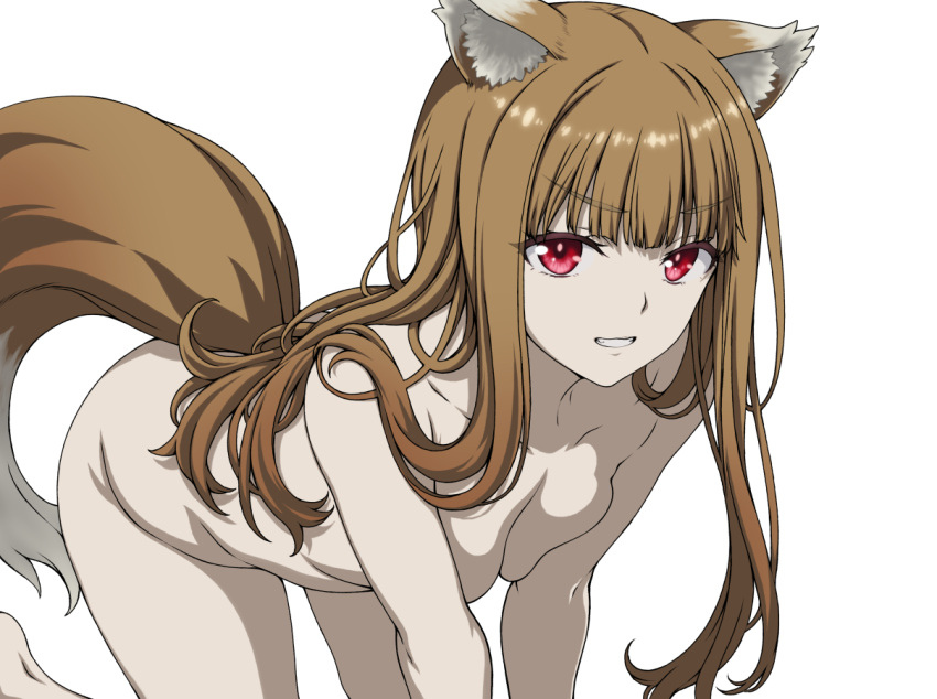 1girl all_fours animal_ear_fluff animal_ears blunt_bangs blurry breast_press breasts bright_pupils brown_hair cleavage collarbone colored_eyelashes commentary_request completely_nude depth_of_field feet_out_of_frame grin hair_over_shoulder hair_spread_out holo isse long_hair looking_at_viewer medium_breasts nude red_eyes sidelocks simple_background smile solo spice_and_wolf straight_hair tail thighs tsurime v-shaped_eyebrows white_background wolf_ears wolf_girl wolf_tail