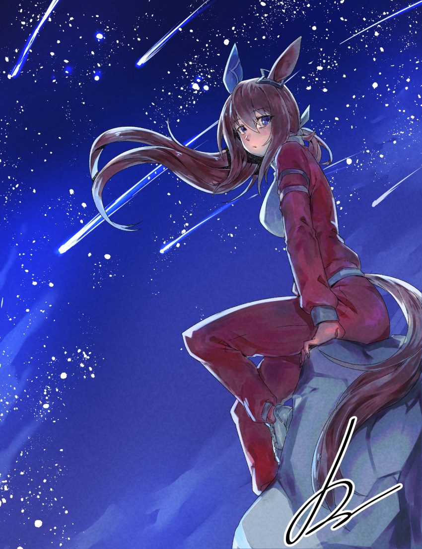 1girl absurdres admire_vega_(umamusume) against_rock animal_ears blush bow breasts closed_mouth commentary_request ear_covers full_body hair_between_eyes highres horse_ears horse_girl horse_tail jacket long_hair long_sleeves medium_breasts minew mixed-language_commentary night night_sky outdoors pants ponytail purple_eyes signature single_ear_cover sky solo star_(sky) starry_sky tail tracen_training_uniform track_jacket track_pants umamusume white_bow white_footwear