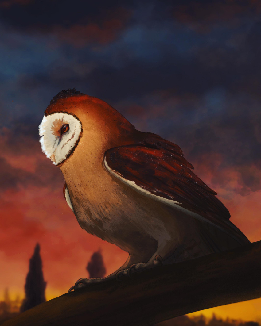 absurd_res avian barn_owl bird brown_body brown_feathers feathers feral guardians_of_ga'hoole hi_res kludd male owl plant senecar0cks solo sunset tree tyto tytonid white_body white_feathers