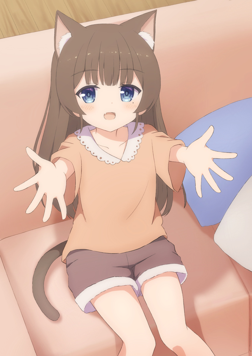 1girl absurdres animal_ears bad_id bad_pixiv_id blue_eyes blush brown_hair cat_ears cat_girl cat_tail couch fang highres indie_virtual_youtuber itigori_ena long_hair looking_at_viewer mole mole_under_eye on_couch open_mouth pillow reaching reaching_towards_viewer short_sleeves shorts sitting smile solo tail tyakomes virtual_youtuber