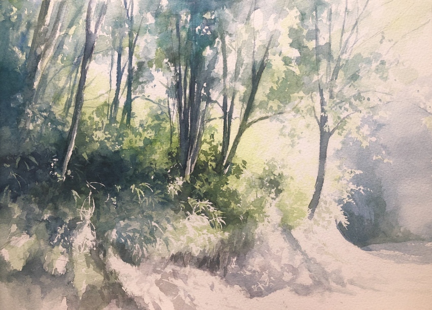 bush day forest grass highres nature no_humans original painting_(medium) plant realistic scenery shadow sunlight toyonaga_ryouhei traditional_media tree watercolor_(medium)