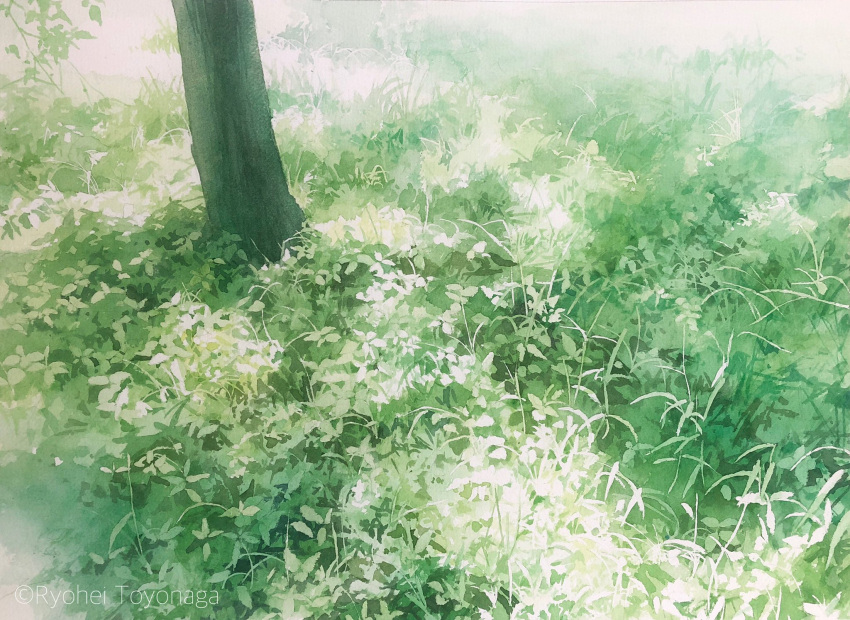 dappled_sunlight grass highres no_humans original painting_(medium) plant plant_focus realistic shadow still_life sunlight toyonaga_ryouhei traditional_media tree tree_shade tree_stump watercolor_(medium)