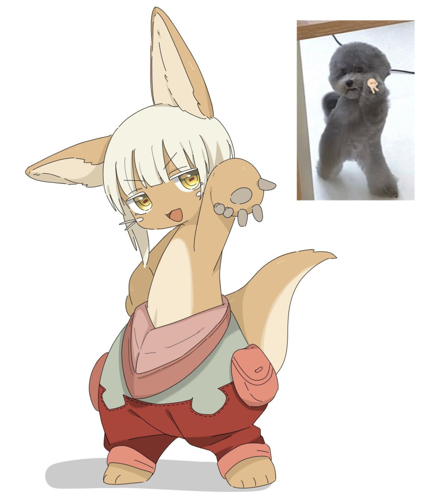 1other :3 androgynous animal animal_ears body_fur brown_fur colored_eyelashes dog furry gyaru_v hand_on_own_hip highres jitome looking_at_viewer made_in_abyss meme nanachi_(made_in_abyss) open_mouth other_focus pants pouch puffy_pants rabbit_ears red_pants reference_photo short_hair sidelocks simple_background smile solo standing tail uis0 v whiskers white_background yellow_eyes