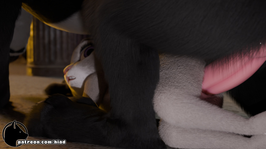 alley anal anal_penetration animal_genitalia animal_penis anthro canid canine canine_genitalia canine_penis canis disney dominant dominant_male duo female genitals hi_res hiad interspecies judy_hopps lagomorph larry_(zootopia) leporid looking_back male male/female male_penetrating mammal on_ground outside patreon penetration penis purple_eyes rabbit size_difference text urban url wolf zootopia