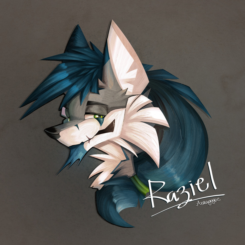 anthro blue_hair canid canine canis digital_media_(artwork) fur green_eyes hair hi_res male mammal smile smiling_at_viewer solo spicyduragu wolf