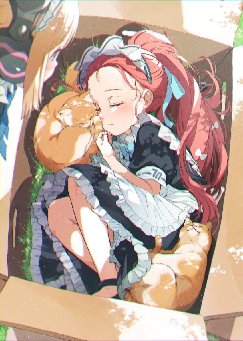 2girls animal animal_ear_headphones animal_ears apron black_dress blonde_hair blue_archive blush box cat closed_eyes closed_mouth dress fake_animal_ears frilled_apron frilled_dress frills gomennasai headphones highres in_box in_container long_hair lying maid maid_headdress momoi_(blue_archive) multiple_girls on_side puffy_short_sleeves puffy_sleeves red_eyes red_hair short_hair short_sleeves sleeping white_apron yuzu_(blue_archive) yuzu_(maid)_(blue_archive)