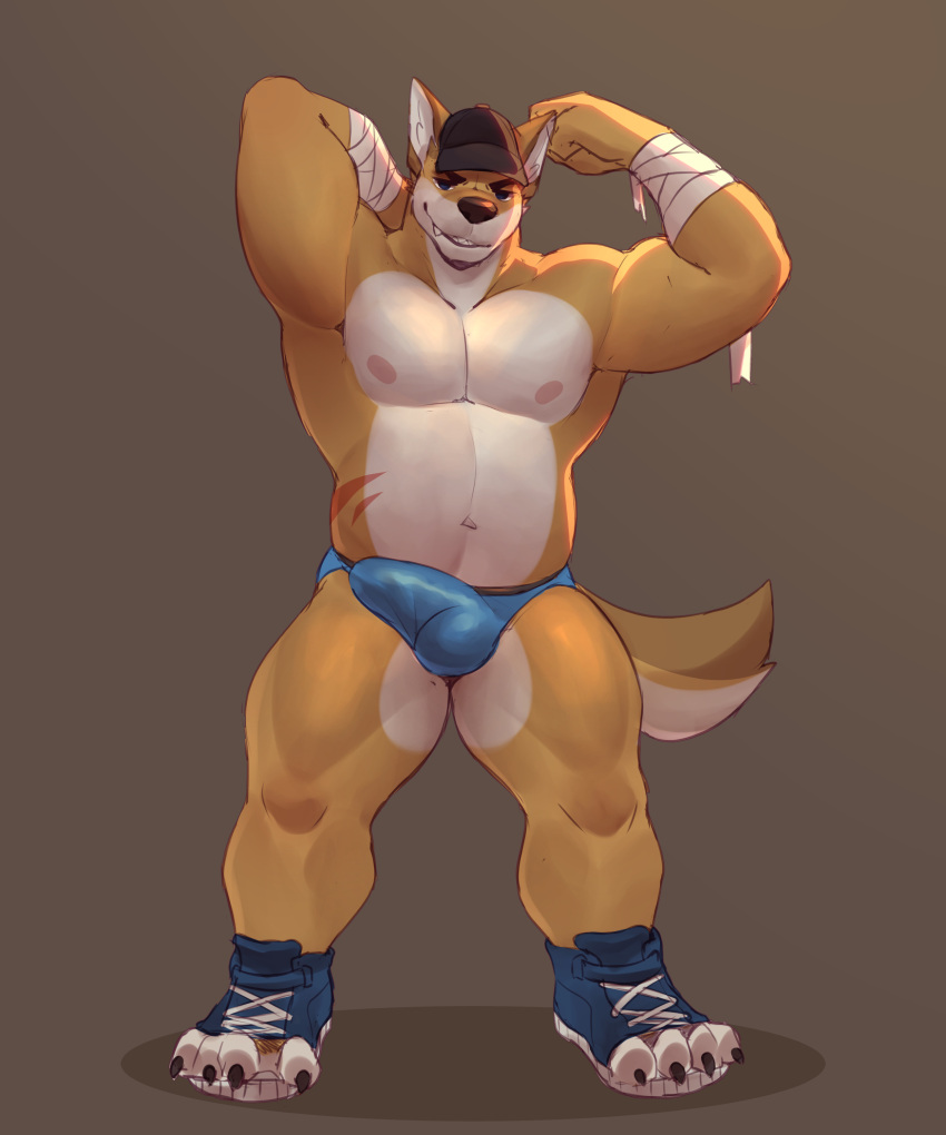 absurd_res anthro bandage blue_clothing blue_footwear blue_shoes blue_underwear bulge canid canine canis claws clothing domestic_dog footwear hands_behind_back hat headgear headwear hi_res jockstrap male male/male mammal markings muscular muscular_anthro muscular_male nipples paws pecs pink_nipples raised_arms scar shoes simple_background smile smirk snaftfc solo underwear white_body wolf yellow_body