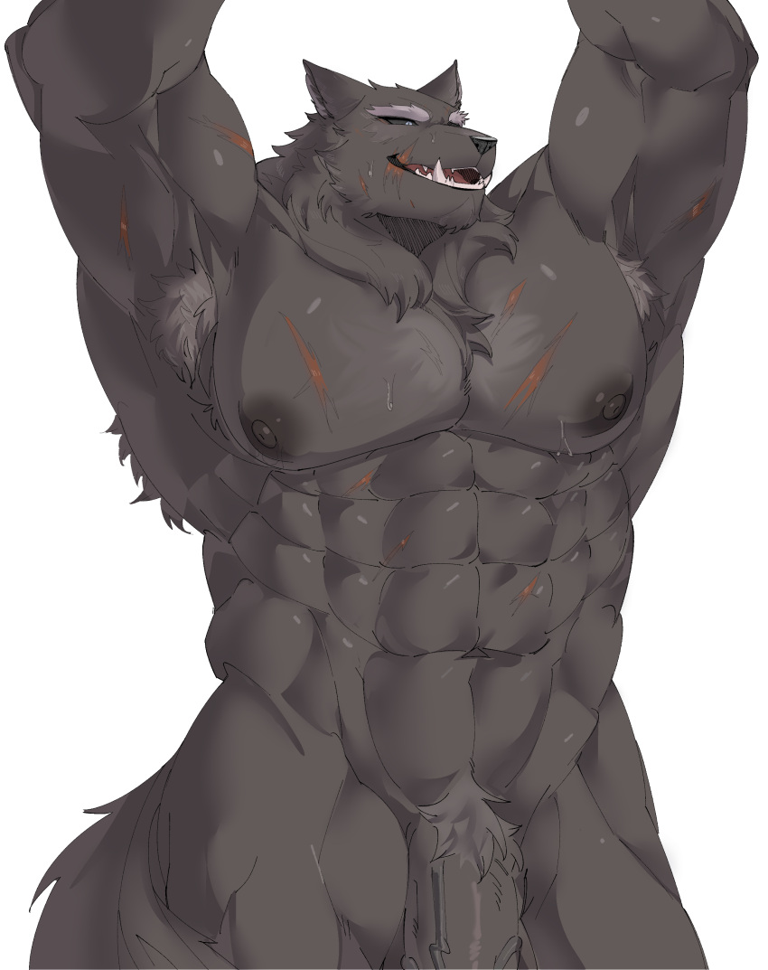 abs absurd_res anthro armpit_hair balls barazoku biceps big_balls big_penis bl_carsen black_body black_fur bodily_fluids body_hair canid canine canis fangs flaccid foreskin fur genital_fluids genitals hi_res huge_penis humanoid_genitalia humanoid_penis looking_at_viewer male mammal muscular muscular_anthro muscular_male muscular_thighs nipples nude pecs penis precum pubes scar simple_background smile solo standing teeth video_games wolf