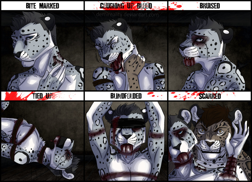 anthro bite_mark black_body black_ears black_fur black_nose blindfold blood blood_in_mouth blue_eyes bodily_fluids brown_eyes brown_hair bruised chest_tuft death demireality duo fangs front_view fur gore grey_body grey_fur grey_hair hair inner_ear_fluff kitsunebi_(artist) male multiple_images short_hair solo spots spotted_arms spotted_body spotted_fur torture tuft white_body white_ears white_fur white_inner_ear_fluff wounded