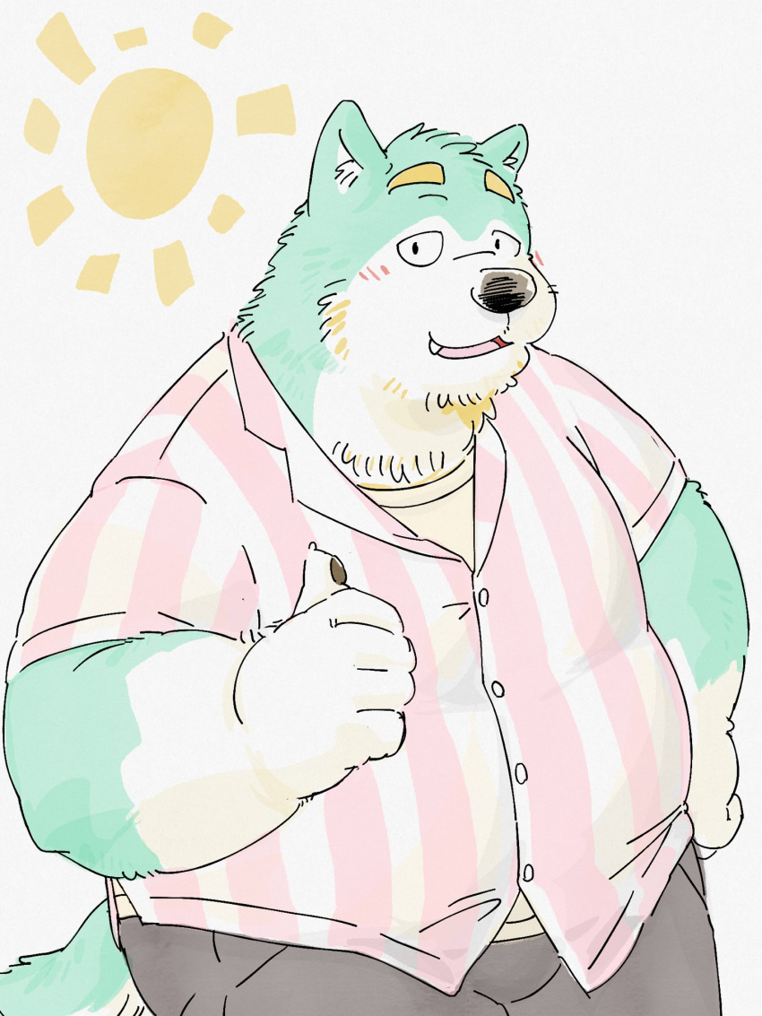 2022 anthro belly big_belly black_nose blush bottomwear canid canine canis clothing domestic_dog green_body hi_res kemono male mammal overweight overweight_male pommn_mn shirt shorts solo sun topwear