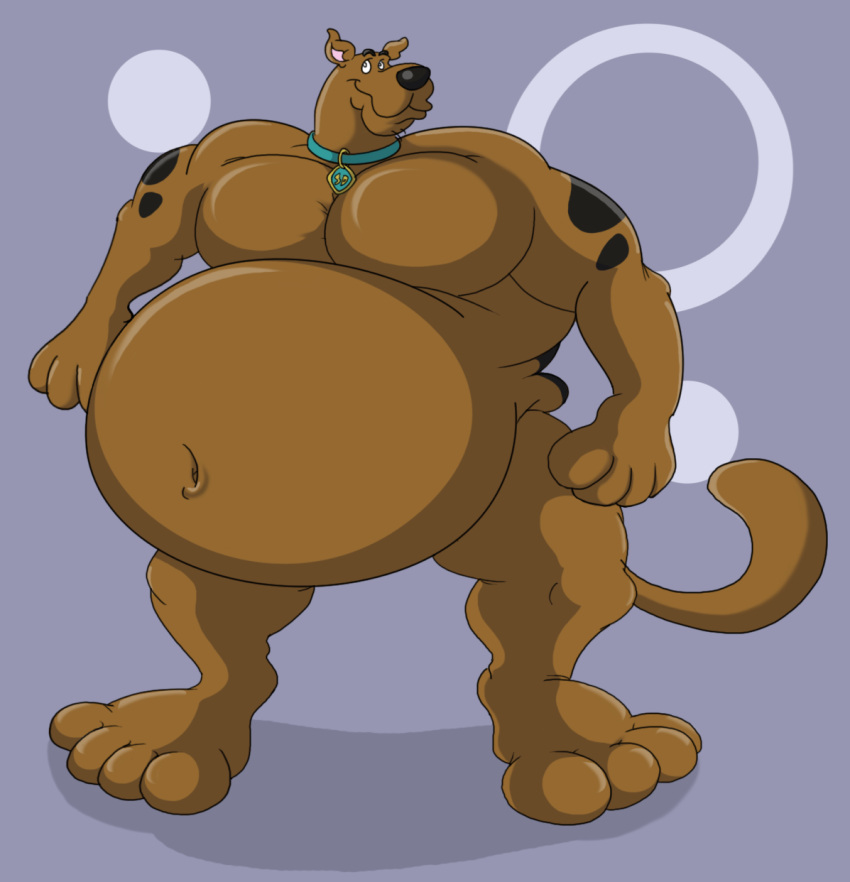 2011 4_toes anthro belly big_belly big_chest black_spots brown_body brown_fur canid canine canis chubby_anthro chubby_male collar collar_only convenient_censorship domestic_dog eggo21 feet fur hanna-barbera head_turned hi_res male mammal navel nude overweight overweight_anthro overweight_male scooby-doo scooby-doo_(series) slightly_chubby smile solo spots standing toes