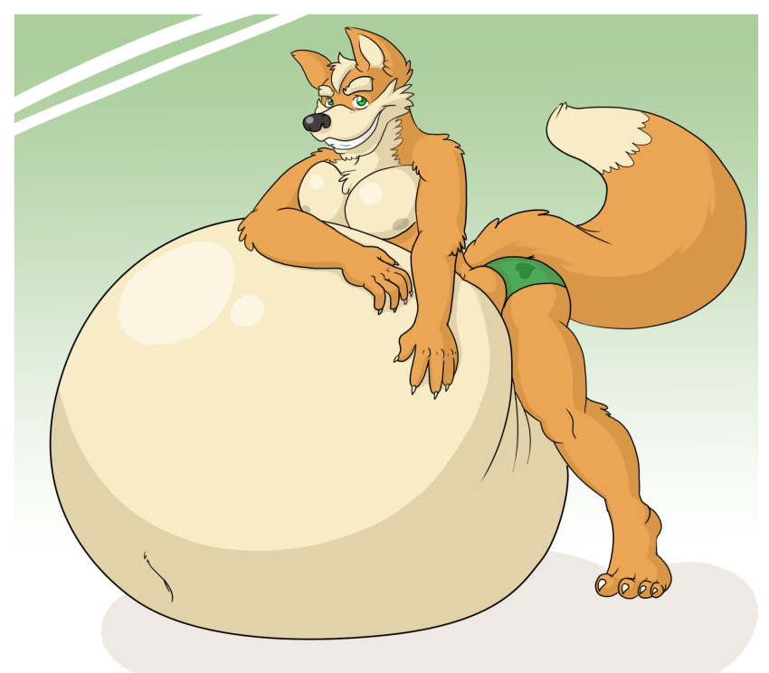 2013 anthro belly belly_inflation big_belly canid canine claws clenched_teeth clothed clothing eggo21 fox fox_mccloud fur hand_on_stomach hands_on_stomach hi_res hyper hyper_belly inflation leaning leaning_forward looking_at_viewer lying male mammal mostly_nude navel nintendo nipples on_front raised_tail smile solo star_fox teeth tiptoes toe_claws underwear underwear_only video_games