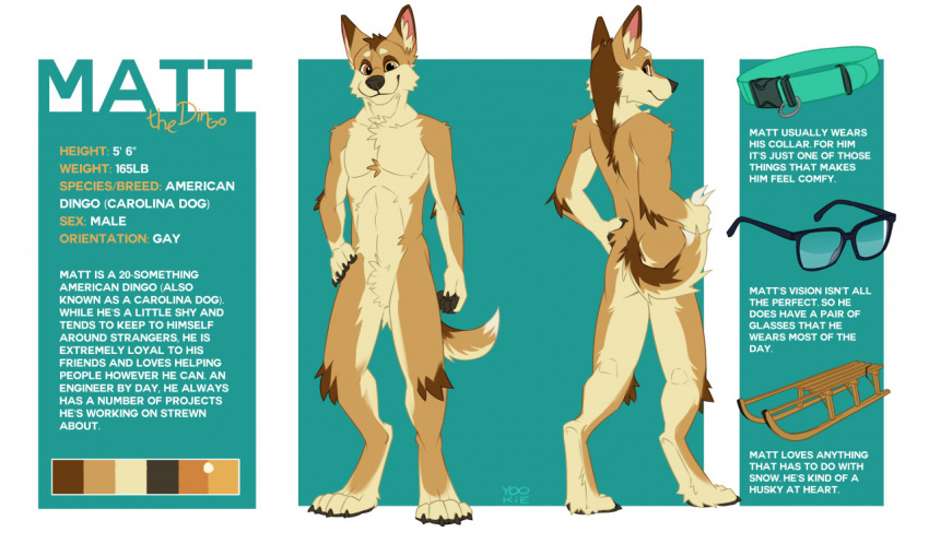 anthro biped black_claws black_nose black_pawpads blue_collar brown_body brown_ears brown_fur brown_head_tuft brown_tail canid canine canis cheek_tuft chest_tuft claws collar color_swatch crotch_tuft digitigrade dingo dipstick_ears dipstick_tail elbow_tufts eyewear facial_tuft front_view fur glasses glistening glistening_eyes hand_on_hip head_tuft inner_ear_fluff knee_tuft leg_tuft looking_at_viewer looking_back male mammal markings model_sheet multicolored_ears orange_eyes pawpads pink_inner_ear rear_view shoulder_tuft simple_background smile solo standing tail_markings tan_body tan_fur tan_inner_ear_fluff tan_tail tuft white_body white_fur white_tail yookie