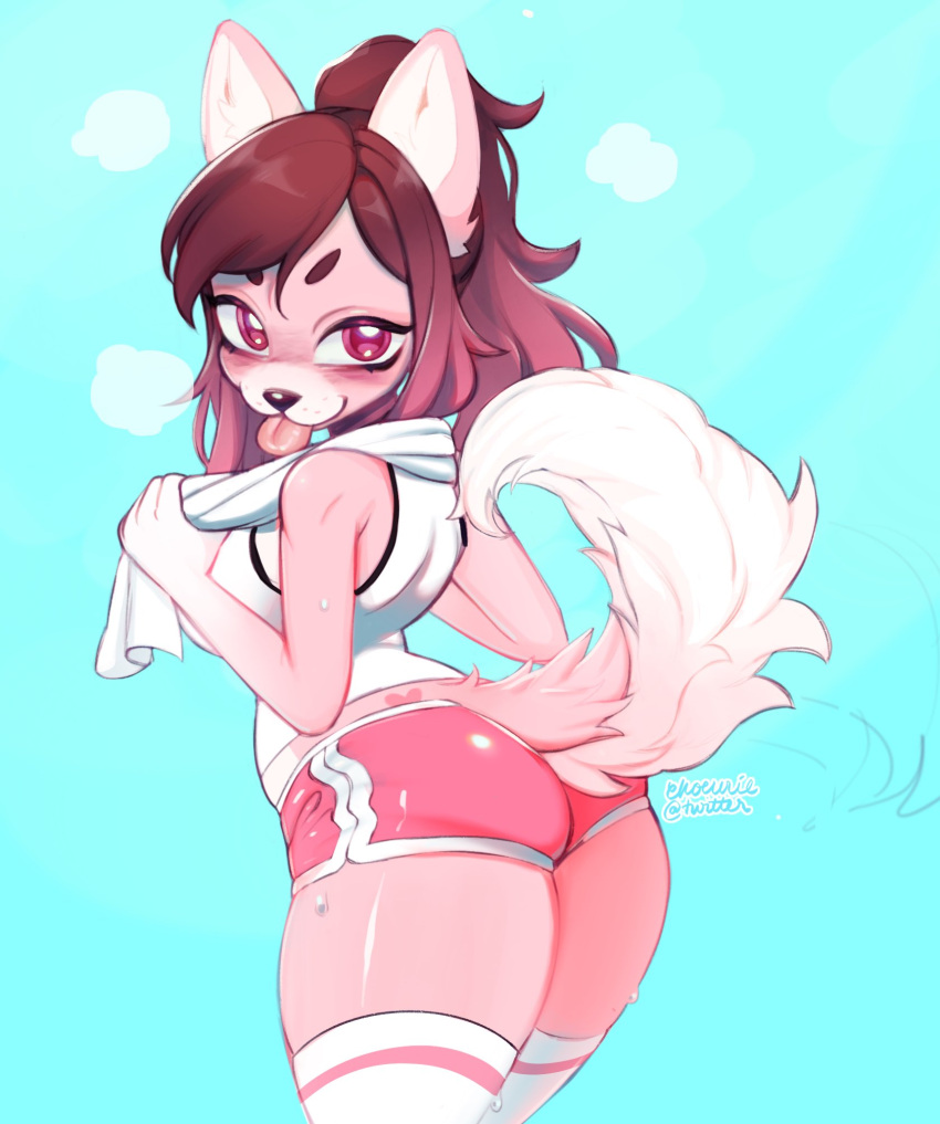 2019 anthro blue_background blush bottomwear butt canid canine canis clothing digital_media_(artwork) domestic_dog female hair heart_(marking) hi_res holding_object holding_towel indigo_cho looking_at_viewer mammal pink_eyes ponytail raised_tail short_stack shorts simple_background smile solo tongue tongue_out towel white_towel