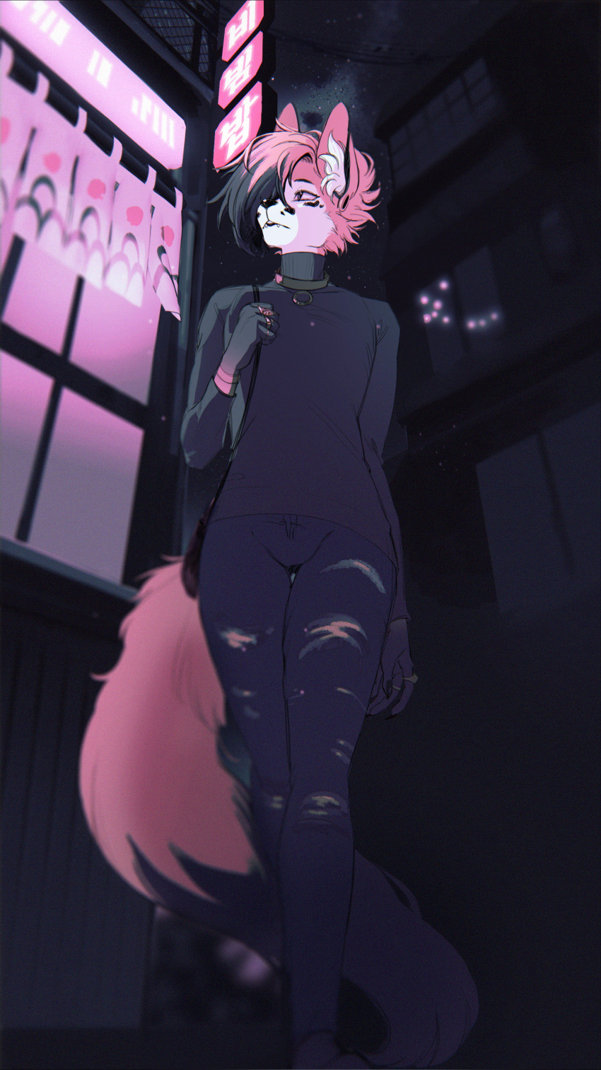 2018 absurd_res anthro black_clothing black_nose black_shirt black_topwear bottomwear building canid canine clothing collar digital_media_(artwork) ear_piercing ear_ring finger_ring front_view fur girly hair hi_res indigo_cho japanese_text low-angle_view male mammal night outside pants piercing pink_body pink_fur pink_hair shirt solo star text topwear walking white_body white_fur