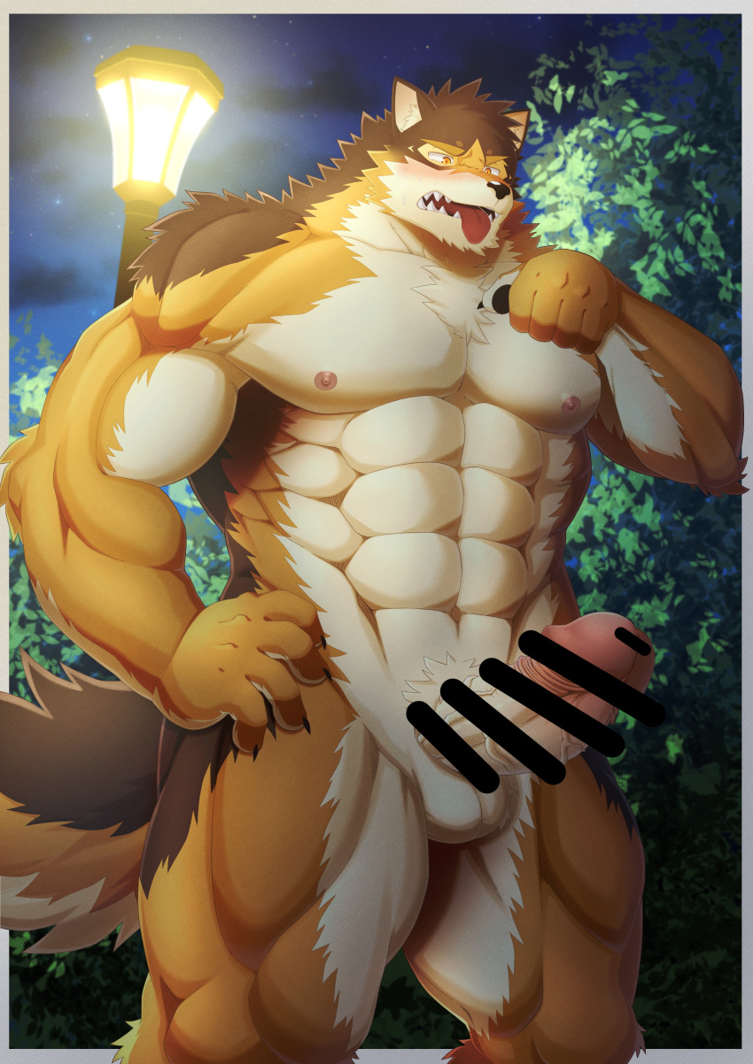 2022 abs absurd_res anthro balls barrel_(live-a-hero) blush border breath brown_body brown_fur canid canine canis censored claws clothed clothing cute_fangs digital_drawing_(artwork) digital_media_(artwork) erection exposed finger_claws fur genitals hi_res homohomofever humanoid_genitalia humanoid_penis lamp lifewonders live-a-hero looking_pleasured male mammal multicolored_body multicolored_fur muscular muscular_anthro muscular_male nipples open_mouth orange_body orange_eyes orange_fur outside panting pawpads pecs penis plant presenting presenting_penis pubes public public_exposure raised_clothing shirt solo standing street_lamp tan_body tan_fur tank_top tongue tongue_out topwear tree video_games white_border wolf