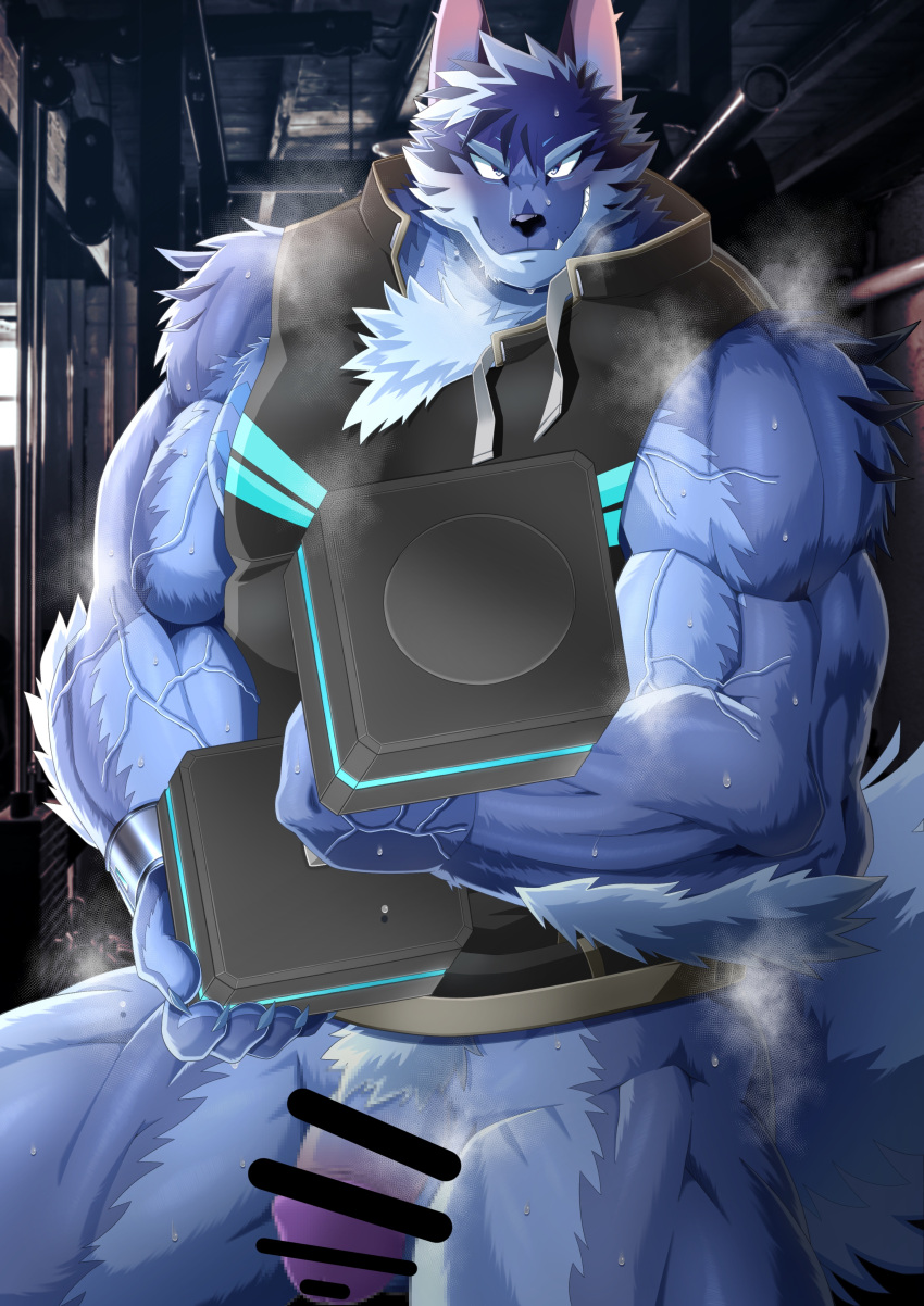 2021 absurd_res anthro athletic athletic_male blue_body blue_fur bodily_fluids bottomless breath canid canine canis censored chest_tuft claws clothed clothing cute_fangs digital_drawing_(artwork) digital_media_(artwork) dumbbell elbow_tufts exercise finger_claws flaccid flexing fur genitals hi_res homohomofever humanoid_genitalia humanoid_penis lifewonders male mammal multicolored_body multicolored_fur muscular muscular_anthro muscular_male penis pubes shirt smile smirk solo steam sweat tindalos_(tas) tokyo_afterschool_summoners topwear tuft vein veiny_muscles video_games weights wolf workout