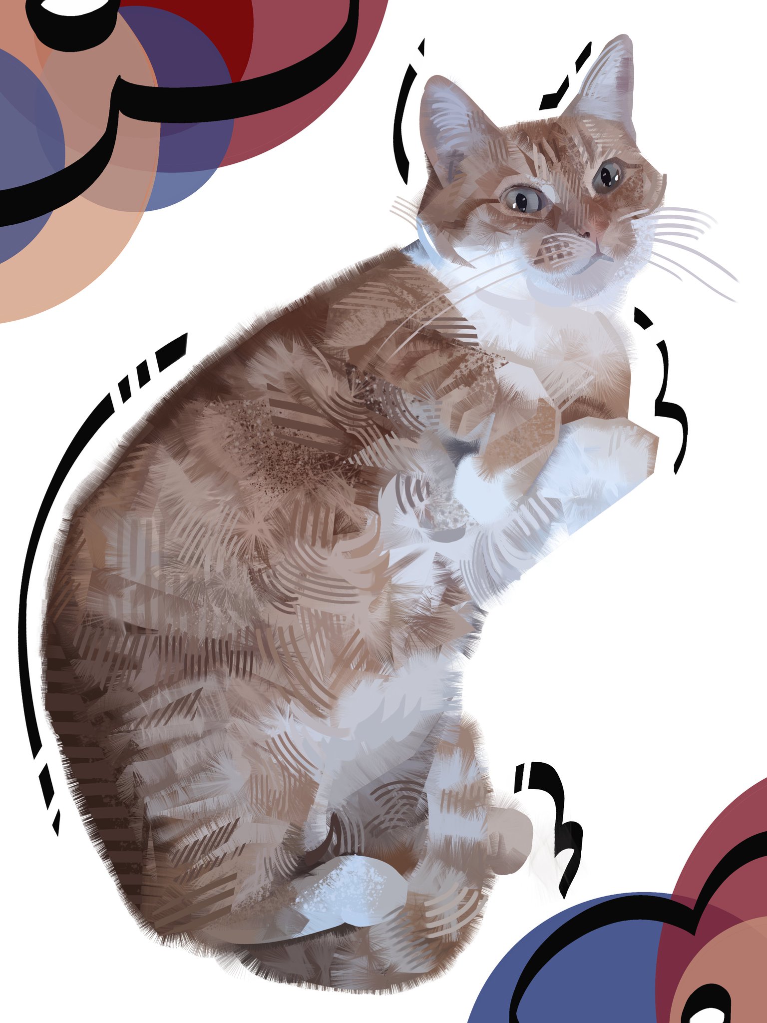 The Big ImageBoard (TBIB) - ambiguous gender domestic cat felid feline ...