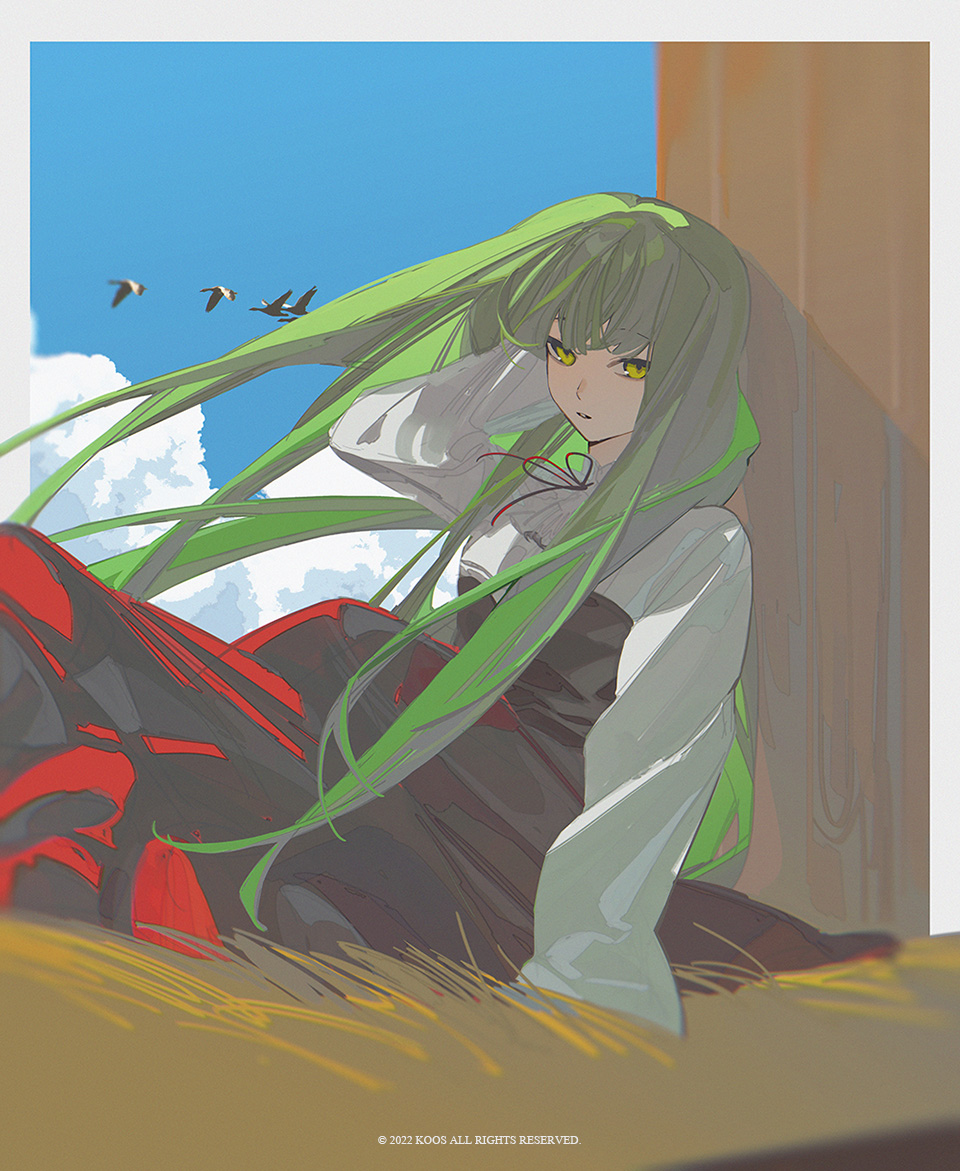 Code Geass Bird The Big ImageBoard (TBIB) - 1girl arm behind head bird black dress c.c ...