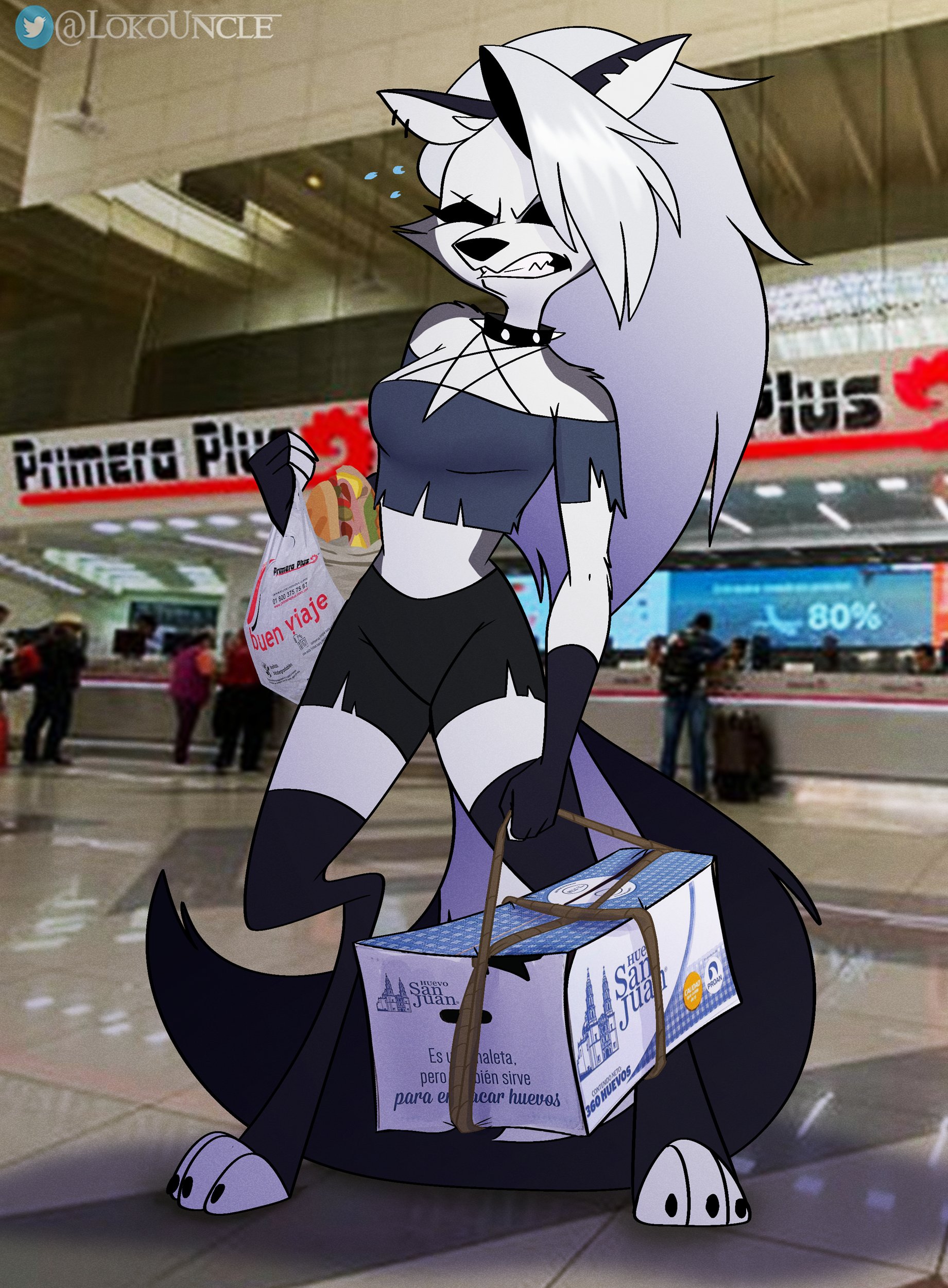 The big imageboard tbib absurd res airport anthro bag canid canid