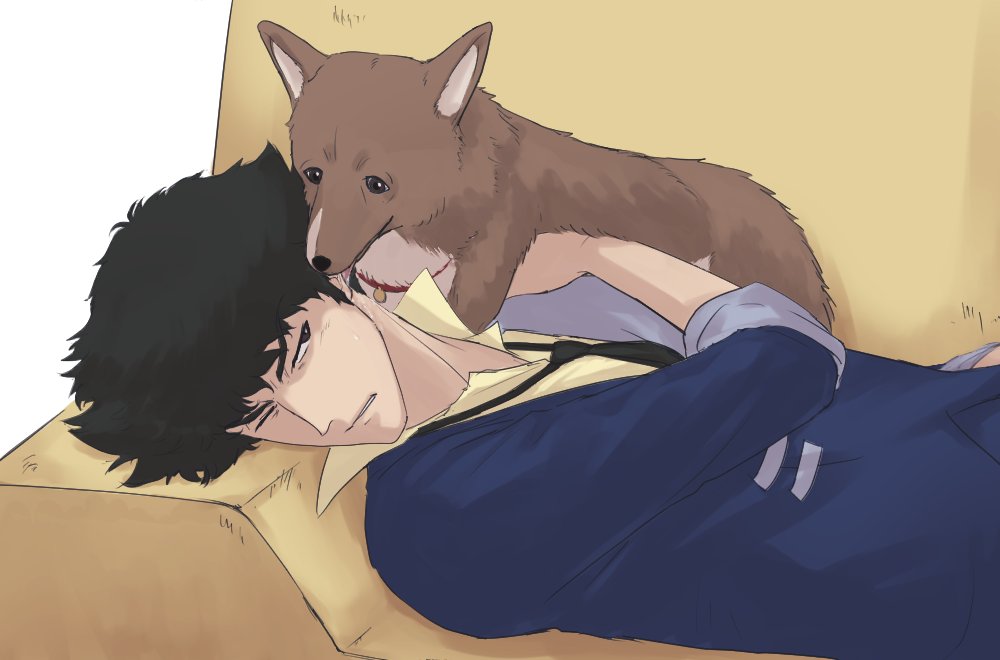 The Big ImageBoard (TBIB) - canid canine canis collar cowboy bebop ...