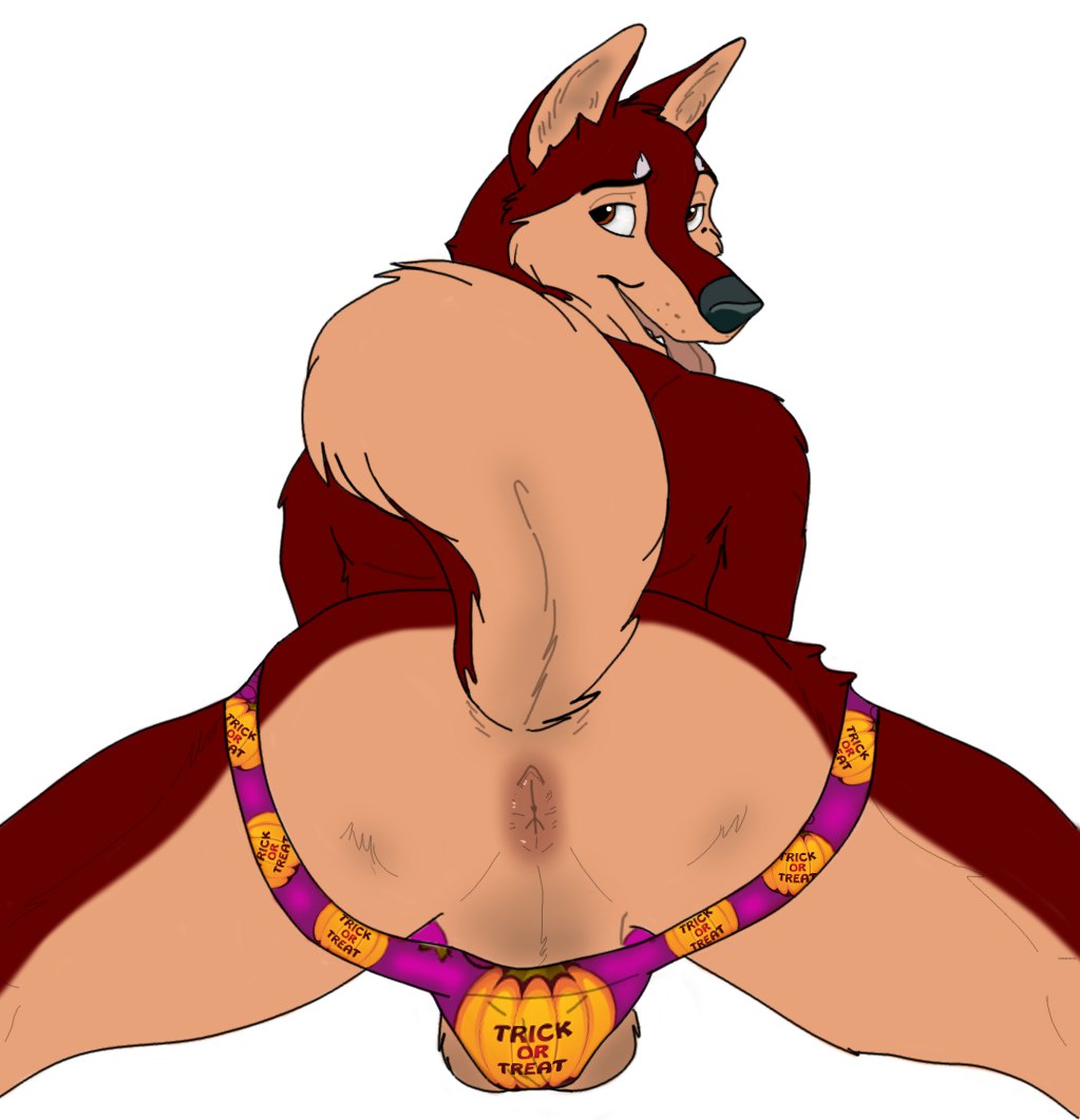 Dingo Porn