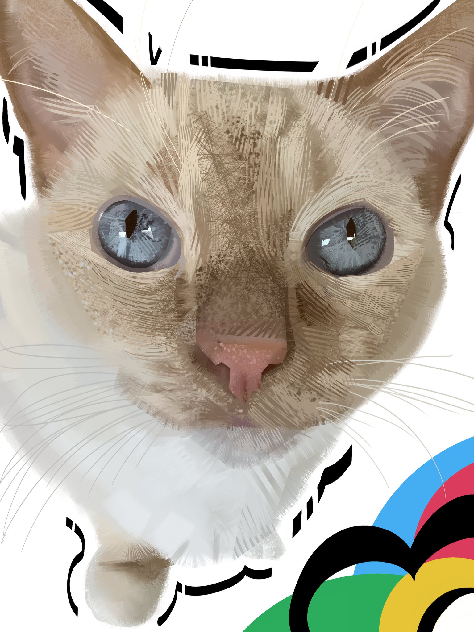 The Big ImageBoard (TBIB) - ambiguous gender blue eyes domestic cat ...